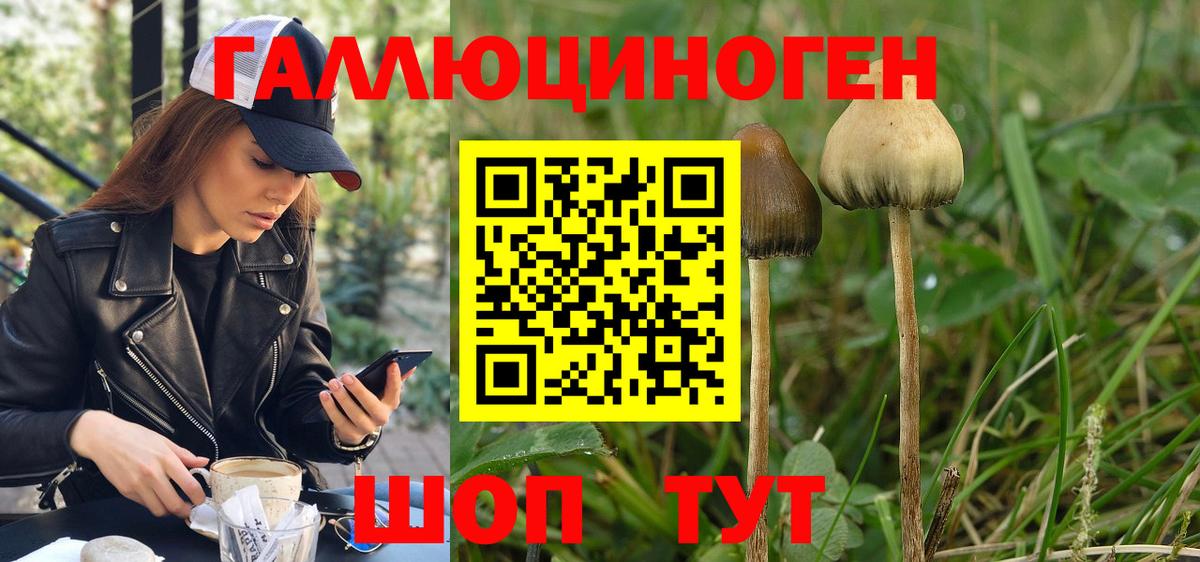 Галлюциногенные грибы Cubensis Грязи