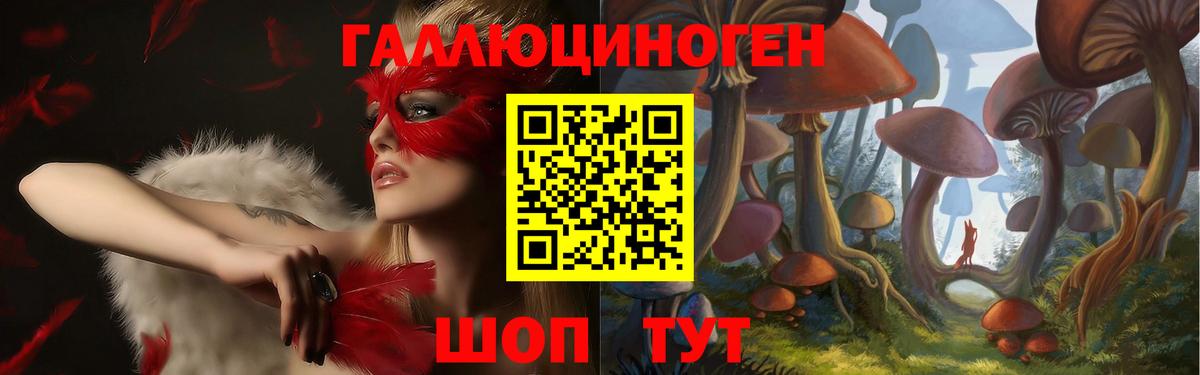 Галлюциногенные грибы Cubensis  Псилоцибиновые грибы прущие грибы  Вход с VPN  Грязи 